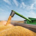 Rusya: Tahıl İhracatını Engelleyen Kararlar İptal Edilmeli