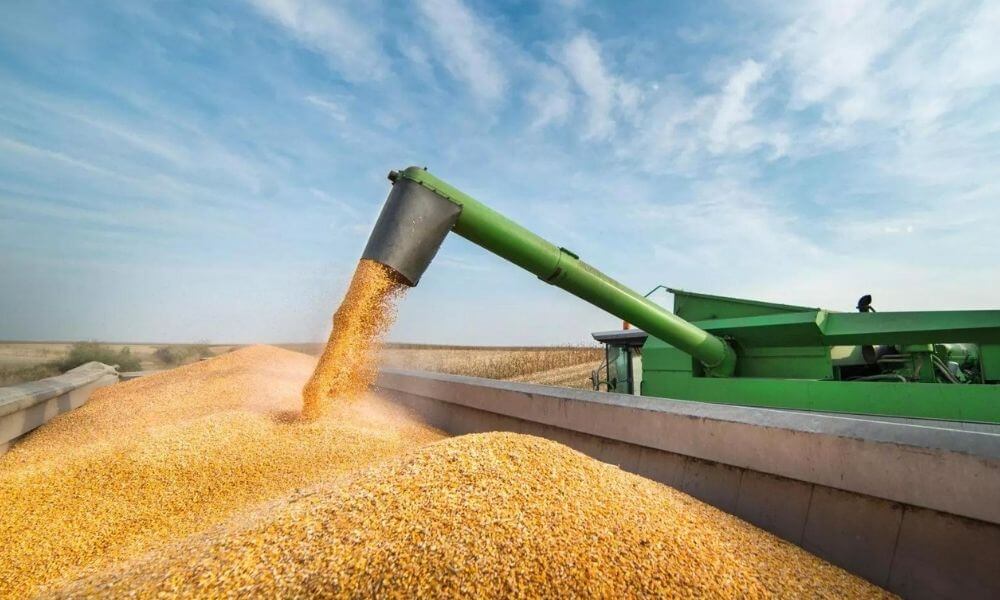Rusya: Tahıl İhracatını Engelleyen Kararlar İptal Edilmeli