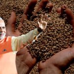 Türkiye Hindistan’dan Buğday İthalatıyla Bir İlke İmza Attı!