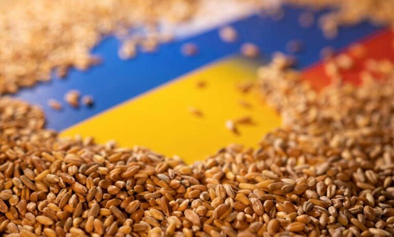 Ukrayna’nın Tohum Bankası Savaş Nedeniyle Yok Olabilir