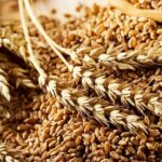 AB Küresel Gıda Güvenliği için 17 Adımı Devreye Sokuyor