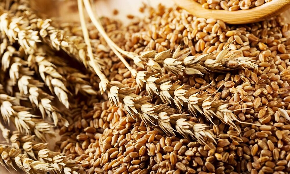 AB Küresel Gıda Güvenliği için 17 Adımı Devreye Sokuyor