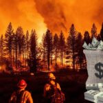 Dünya Bankası Türkiye için Afet Finansmanını Onayladı!