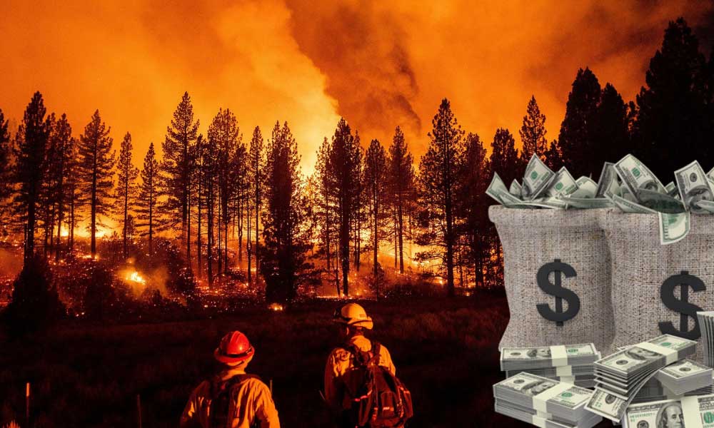 Dünya Bankası Türkiye için Afet Finansmanını Onayladı!