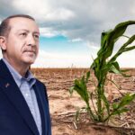Erdoğan Ekonomik Tarımsal Üretim Modelini Açıkladı