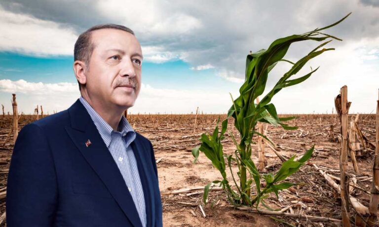 Erdoğan Ekonomik Tarımsal Üretim Modelini Açıkladı
