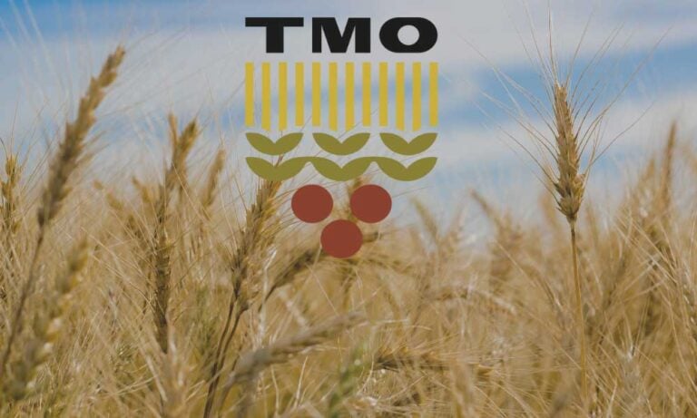 Kirişci Duyurdu: TMO Tahıl Alım Fiyatlarını Artırdı!