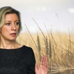 Rusya Batı Yüzünden Milyonlarca Ton Tahılı İhraç Edemiyor