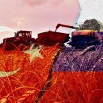 Tahıl Koridorunda Önemli Adım: Türkiye ve Rusya Görüştü