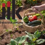 Tarımda Üretici Enflasyonu Üç Hanede Rekor Tazeledi