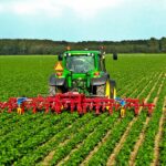 Tarımsal Girdi Enflasyonu Yüzde 117 Artışla Rekor Tazeledi