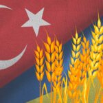 Ukrayna Büyükelçisi: Türkiye Çalıntı Buğday Satın Alıyor