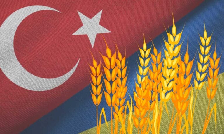 Ukrayna Büyükelçisi: Türkiye Çalıntı Buğday Satın Alıyor