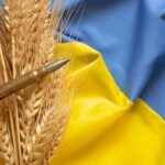 Ukrayna Tahıl İhracatını Polonya ve Romanya Üzerinden Yapabilir