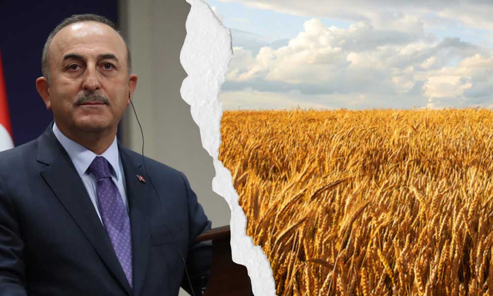 Ukrayna: Türkiye Garantör Ülke Olmak İçin Yetersiz Bir Güç