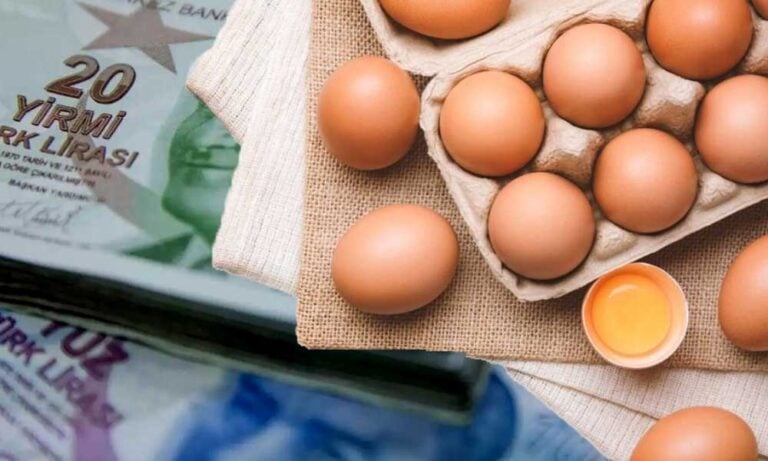 Yumurta Üreticileri Darda: Fiyatlar için Artış Uyarısı