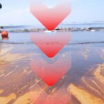 100 Doların Altına Çekilen Petrolde Tahminler Düşürüldü