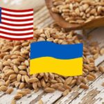 ABD, Ukrayna Tahılının Sevkiyatına Destek Verecek