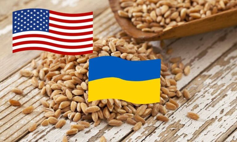 ABD, Ukrayna Tahılının Sevkiyatına Destek Verecek