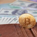 Edward Dowd: Bitcoin Herkesin Portföyünün Bir Parçası Olacak