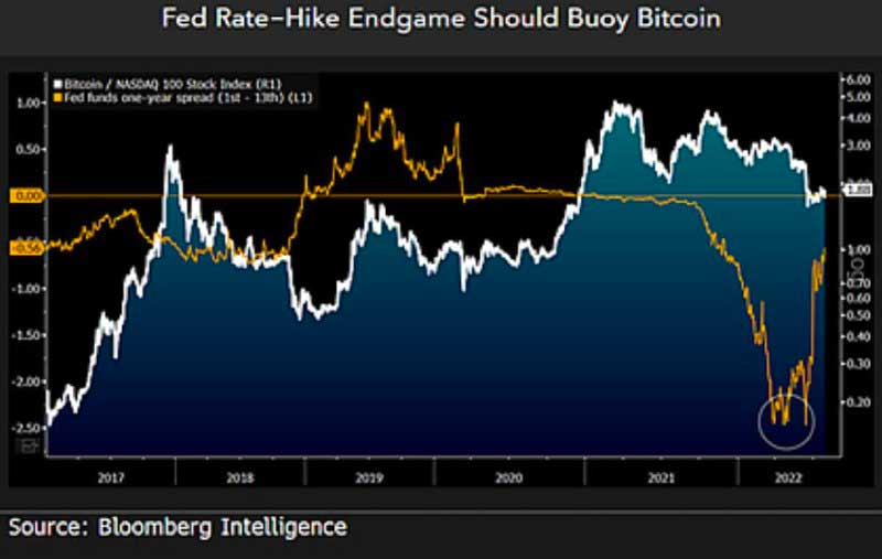 Fed faiz oranları ve BTC fiyatı