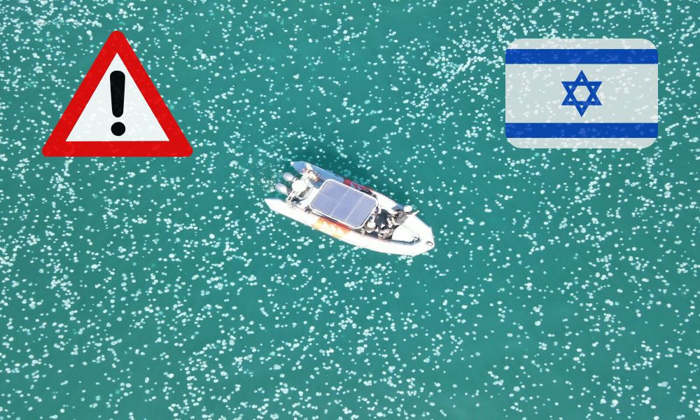 İsrail Ekonomisi ve Turizmi için Tehdit: Denizanası Sürüleri