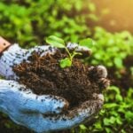 Kirişci Duyurdu: 833 Milyon Liralık Destek Hesaplarda!