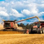 Rusya Dünya Pazarına Gıda Sağlamaya Hazır