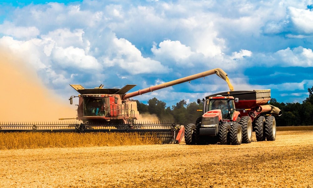 Rusya Dünya Pazarına Gıda Sağlamaya Hazır