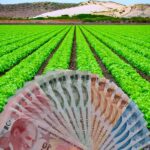 Tarımsal Girdi Enflasyonu Mayıs’ta Tarihi Zirveyi Gördü