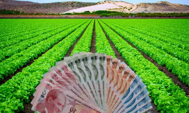 Tarımsal Girdi Enflasyonu Mayıs’ta Tarihi Zirveyi Gördü