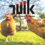 Tavuk Eti Üretimi Mayıs’ta Yüzde 11’in Üzerinde Arttı!