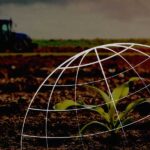 Yurt Dışı Tarımsal Yatırımlarına İlişkin Vizyon Açıklaması!