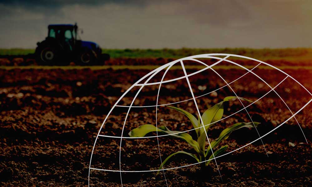 Yurt Dışı Tarımsal Yatırımlarına İlişkin Vizyon Açıklaması!