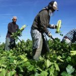 Yurt İçi ÜFE Haziran’da da Rekor Kırdı! Yüzde 138 Arttı