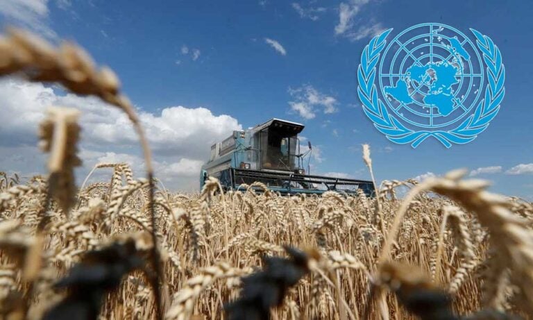 BM Gıda Krizine Neden Olarak Artan Fiyatları Gösterdi