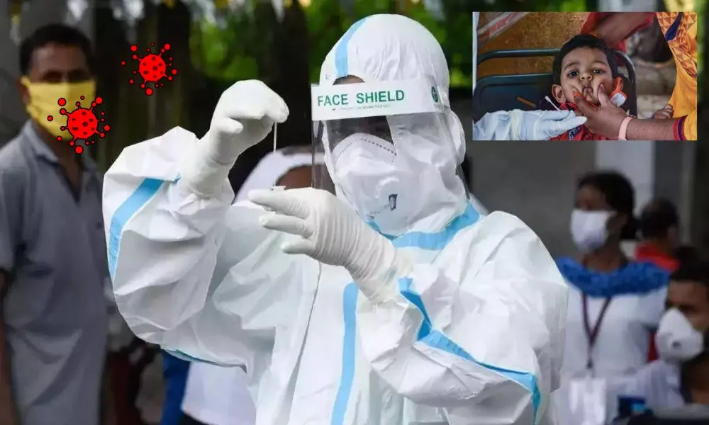 Nadir Görülen Domates Gribi Hindistan’da Giderek Yayılıyor!