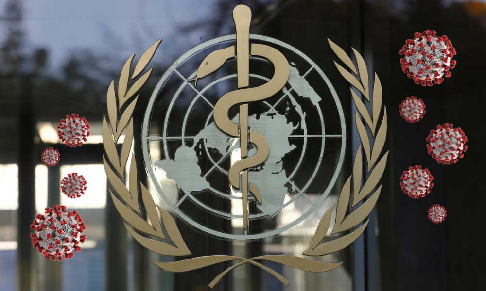 DSÖ Sevindirdi: Maymun Çiçeği Ortadan Kaldırılabilir!