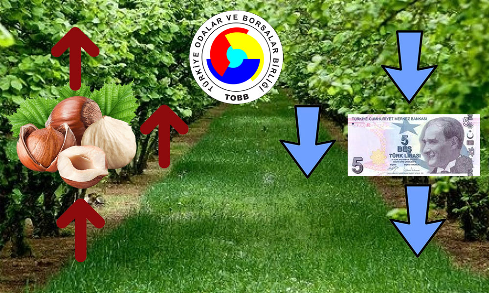 Hisarcıklıoğlu: Üretim Zengini Gelir Fakiriyiz