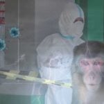 Güney Asya Ülkesi Endonezya İlk Maymun Çiçeği Vakasını Bildirdi