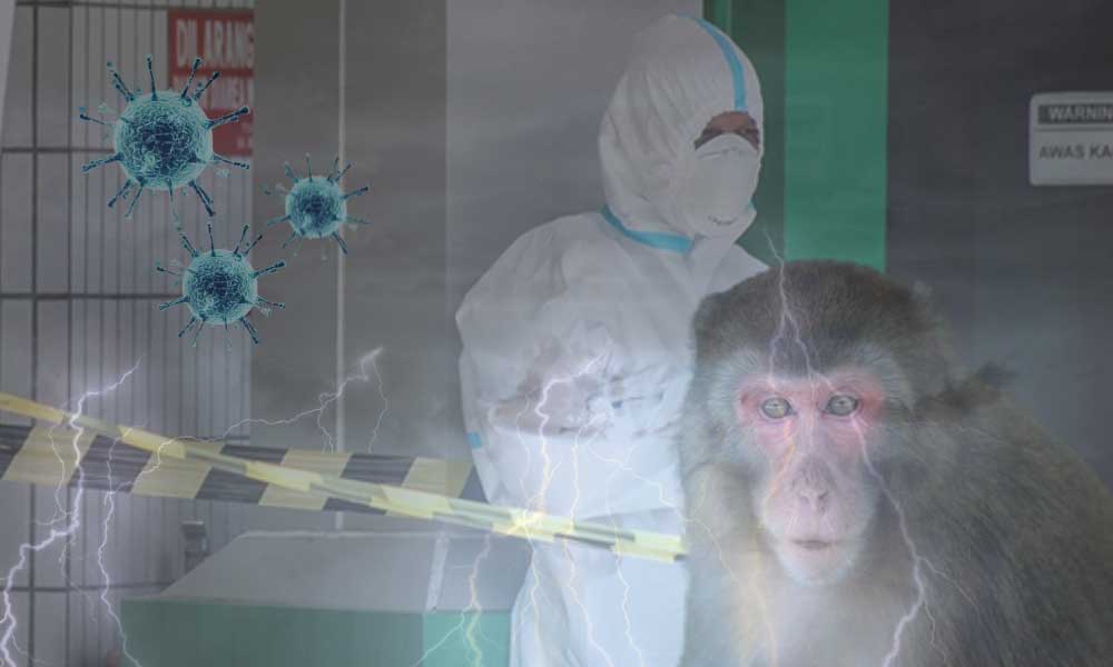 Güney Asya Ülkesi Endonezya İlk Maymun Çiçeği Vakasını Bildirdi