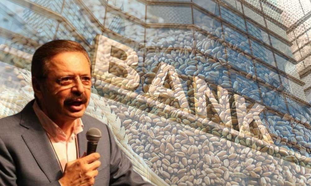 Hisarcıklıoğlu: Kamu Bankalarının Kredi İştahı Hareketlendi