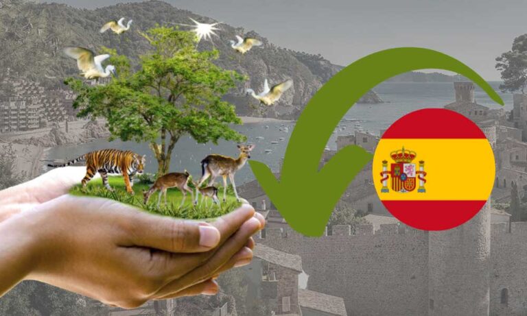 İspanya’dan Enerji Tüketimini Azaltmaya Yönelik Kararname!