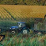 İşte Mısırın Son 14 Yıldaki Alım Fiyatları