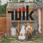 Kümes Hayvancılığı Haziran’da Tüm Kalemlerde Üretimi Artırdı!