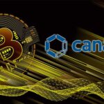 Madencilik Şirketi Canaan, Çin Yasağına Rağmen Gelirini Artırdı