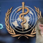 Maymun Çiçeği Vaka Sayısı Küresel Çapta Azaldı