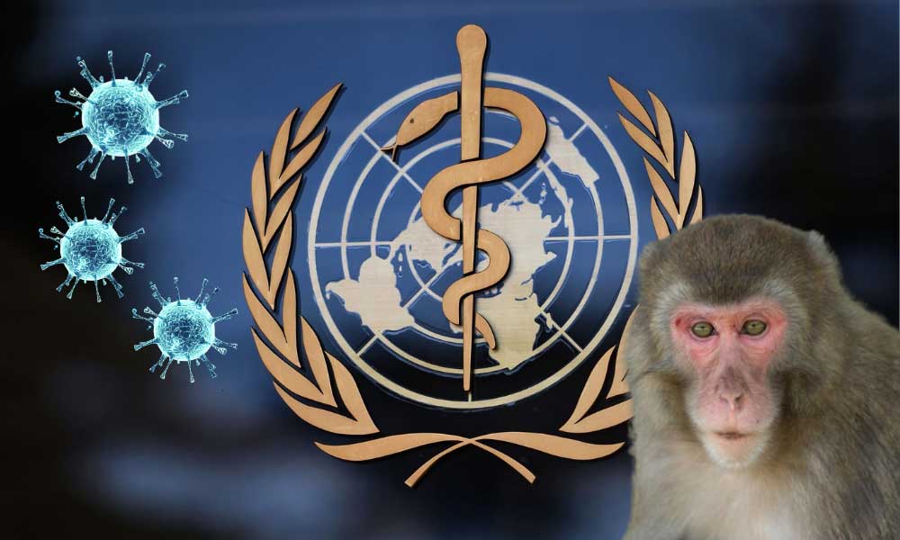 Maymun Çiçeği Vaka Sayısı Küresel Çapta Azaldı