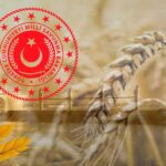 MSB Açıkladı: Tahıl Sevkiyatı Miktarı 1 Milyon Tonu Geçti