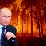 Putin, Rusya’daki Orman Yangınlarının Kötüleşme Riskine Vurgu Yaptı